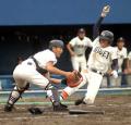 青森・光星学院12年ぶり優勝／高校野球 - 高校野球ニュース