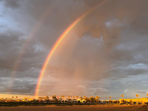 ２月21日、ドジャースのキャンプ地上空に出来た巨大な虹（撮影・菅敏）
