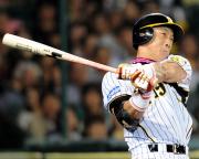 6回、金本は右越え2点本塁打を放つ(撮影・河南真一)