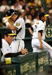 打席が回ってこなかった金本はベンチへ戻っていった(撮影・加藤哉)
