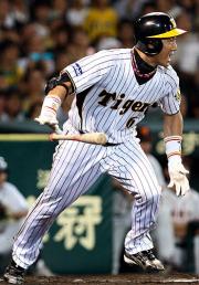 遊撃前でイレギュラーする幸運な中適時打を放つ金本(撮影・加藤哉)