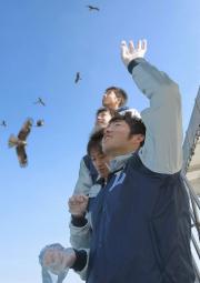 トンビに餌付けする、手前から雄星、松下、岡本洋、岩尾ら新人選手