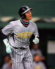【西武-阪神】本塁打を放ち一塁に向かう金本(撮影・野上伸悟)