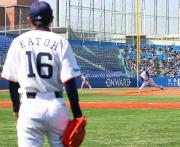 西武石井一の投球をベンチ前で見つめるヤクルト先発の加藤(撮影・野上伸悟)