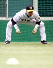仕切り直し、金本は気持ちを切り替えて400号を狙う(撮影・加藤哉)