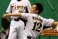 阪神渡辺も抑え候補、中西コーチ言及