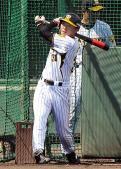阪神林が１軍合流、クリーンアップ任せた