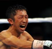 11回、山口からダウンを奪い、絶叫する内藤(撮影・栗山尚久)