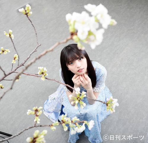 咲き始めた吉野桜を、ほんわかとながめる乃木坂46の齋藤飛鳥（撮影・浅見桂子）
