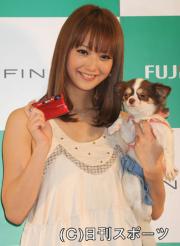 愛犬・マロンちゃんと新CMで共演した佐々木希(撮影・酒井清司)