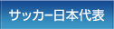 サッカー日本代表