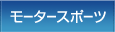 モータースポーツ