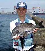 野島防波堤海津クラブの月例会では大型のクロダイもヒットした