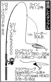 使用したタックル