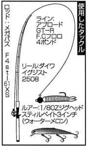 使用したタックル