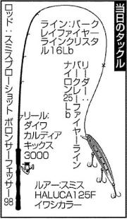 当日のタックル