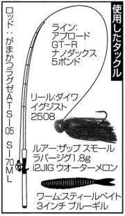 使用したタックル