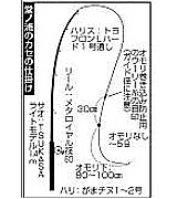 堂ノ浦のカセの仕掛け