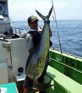 千葉・富浦沖でシイラがアツい！