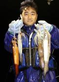 イ～カんじ積丹半島沖で150～300匹