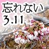 忘れない３・11