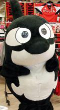 ドアラに続け!?グランパスくんの本発売