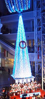 山形のクラブカラーの青と白のクリスマスツリーが、この日お披露目