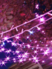 きらきらフェスティバル