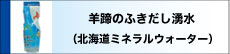 羊蹄のふきだし湧水