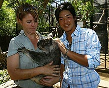 シドニー市内の動物園で、飼育係の抱くコアラをうれしそうになでる石川遼