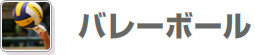 バレーボール