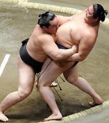 時天空（右）を寄り切りで破り１敗を守る朝青龍（撮影・水谷安孝）