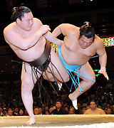 白鵬は豊ノ島を下手出し投げで下す（撮影・下田雄一）