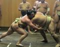横綱白鵬が出羽海部屋に出げいこ20番 - 大相撲ニュース