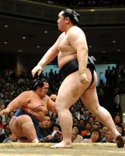 朝青龍は琴奨菊(左)を寄り切りで下す(撮影・下田雄一)