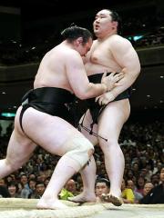 琴欧洲が寄り切りで朝青龍を破る(共同)