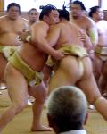 白鵬20番申し合い全勝で絶好調アピール - 大相撲ニュース