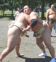 大相撲夏巡業に２年ぶりに参加し、けいこをする横綱朝青龍（右）（共同）