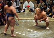 琴奨菊（左）を、にらみつける千代大海（撮影・栗山尚久）
