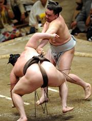 優勝決定戦で白鵬を下し初優勝を決めた日馬富士（撮影・水谷安孝）