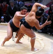 豊真将を押し出しで破る嘉風(撮影・今浪浩三)