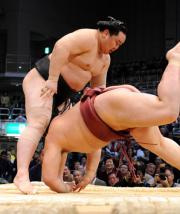 稀勢の里をはたき込みで破り、５連勝の朝青龍（撮影・岡本肇）