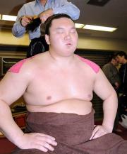 支度部屋でため息をつく白鵬(撮影・岡本肇)