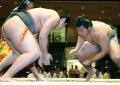 ラグビー出身福留は黒星／夏場所 - 大相撲ニュース