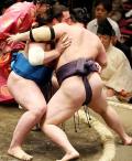 青い目のサムライ栃ノ心３連勝／夏場所 - 大相撲ニュース