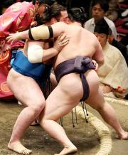 琴春日（右）を寄り切る栃ノ心（撮影・神戸崇利）