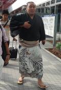 朝青龍モンゴルから綱渡り再来日