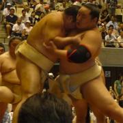 朝青龍(右)は朝げいこで十両土佐豊に胸を出す