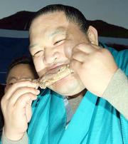 歓迎晩さん会で羊の肉にかぶりつく魁皇(撮影・鈴木豊)