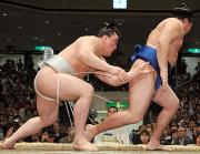 鶴竜を出し投げで崩した日馬富士は、押し出しで7連勝(撮影・岡本肇)